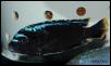 Pseudotropheus msobo Ndumbi